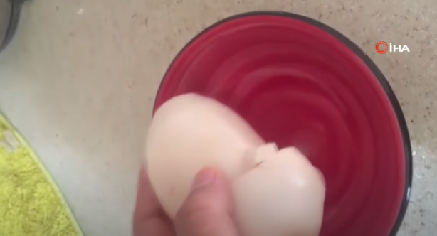 Şoke eden görüntü! Tavuğun altından aldığı yumurtanın içinden bakın ne çıktı!
