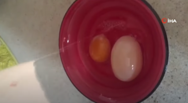 Foto - Şoke eden görüntü! Tavuğun altından aldığı yumurtanın içinden bakın ne çıktı!