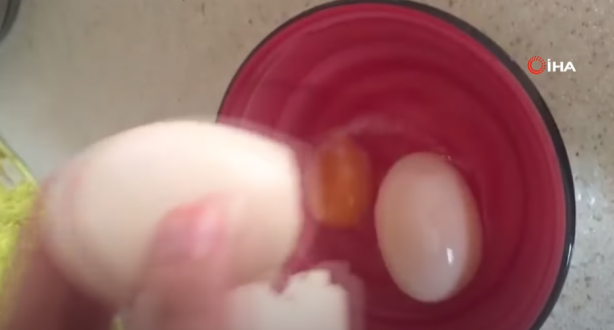 Foto - Şoke eden görüntü! Tavuğun altından aldığı yumurtanın içinden bakın ne çıktı!