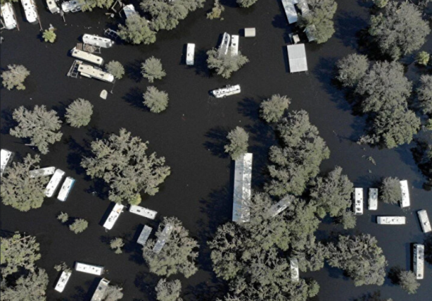 Foto - Şoke eden haber! Et yiyen bakteri alarmı