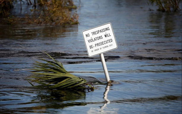 Foto - Şoke eden haber! Et yiyen bakteri alarmı