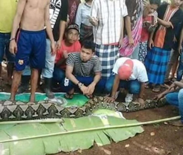 Foto - Şoke eden olay! Kaybolan balıkçı, dev hayvanın midesinden çıktı