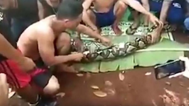 Foto - Şoke eden olay! Kaybolan balıkçı, dev hayvanın midesinden çıktı