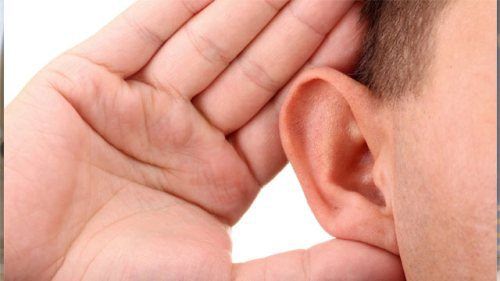 Foto - Solaklarla ilgili 14 ilginç bilgi