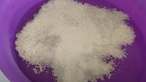 Foto - Solmuş çiçeklerinizi böyle canlandırın... Toprağa bir bardak dökmek yetiyor!