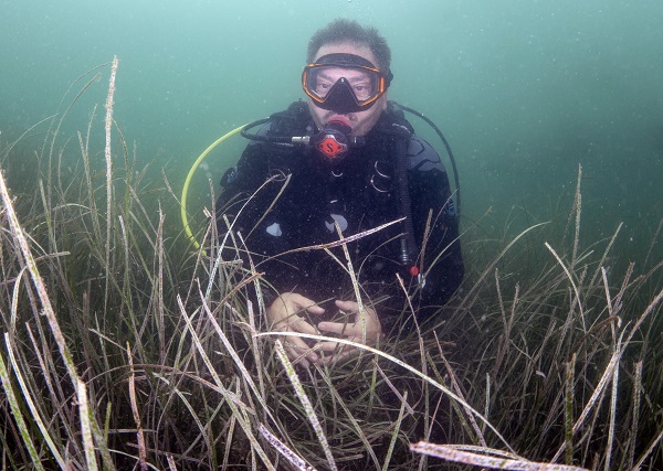 Foto - Soluduğumuz havanın yüzde 20’sini onlar sağlıyor