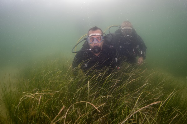 Foto - Soluduğumuz havanın yüzde 20’sini onlar sağlıyor