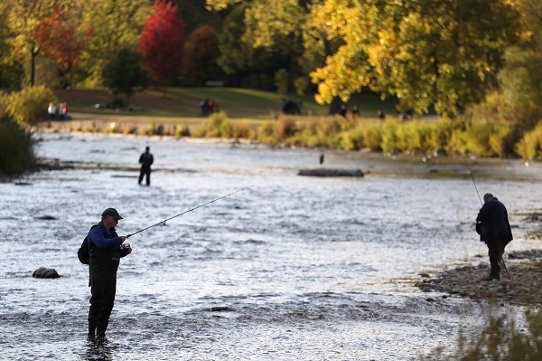 Foto - Somonların zorlu mücadelesi objektiflere takıldı