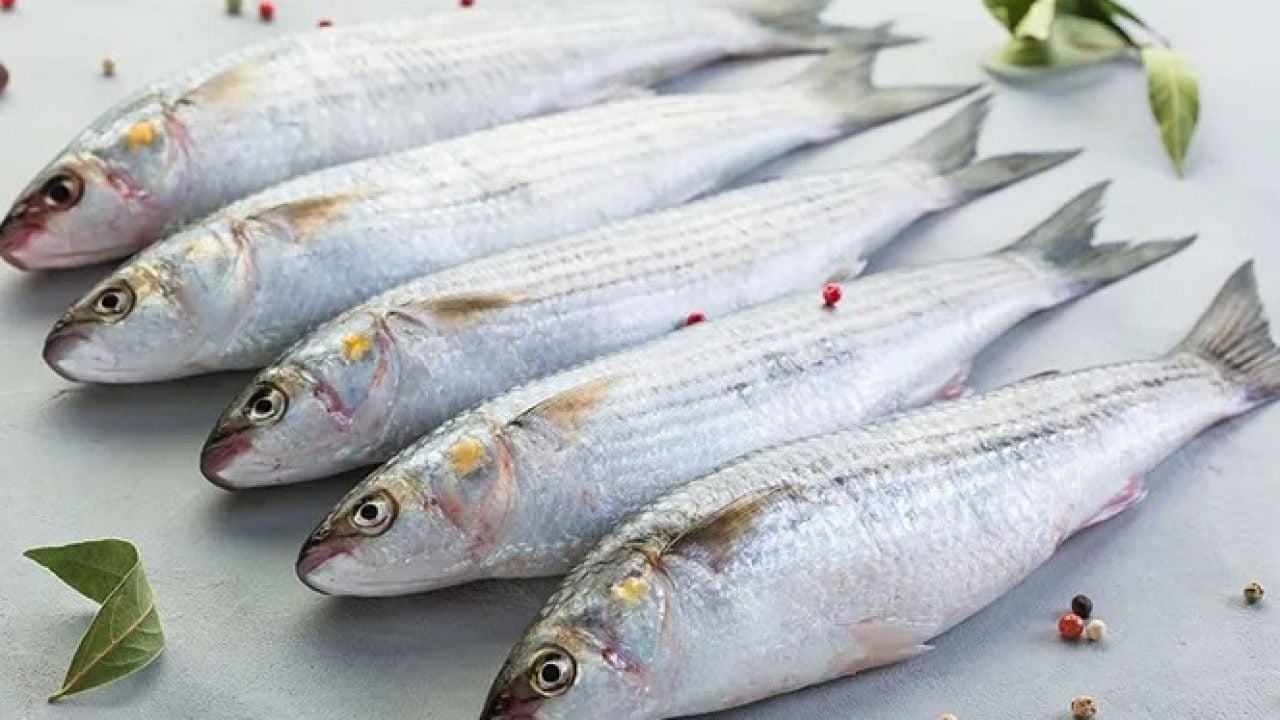 Foto - Somonun tahtı sallanıyor! İşte protein açısından en zengin balıklar