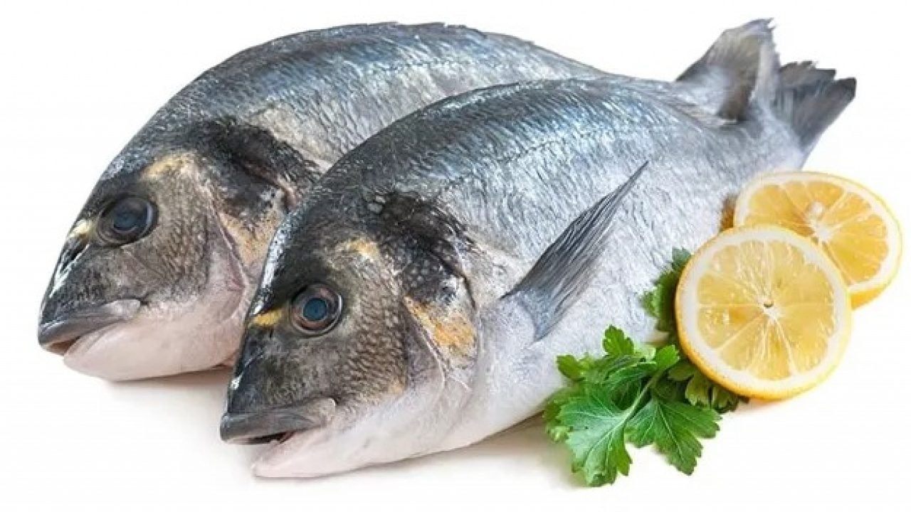Foto - Somonun tahtı sallanıyor! İşte protein açısından en zengin balıklar