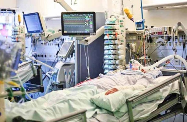 Foto - Sömürgeci İngilizlerin başlattıkları ‘avcı’lık bedel ödetiyor: ‘Avcı’lığa merak saranlar iki kere düşünsün... Hastane kapıları sayısız ‘avcı’ ile dolu