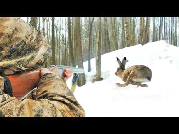 Foto - Sömürgeci İngilizlerin başlattıkları ‘avcı’lık bedel ödetiyor: ‘Avcı’lığa merak saranlar iki kere düşünsün... Hastane kapıları sayısız ‘avcı’ ile dolu