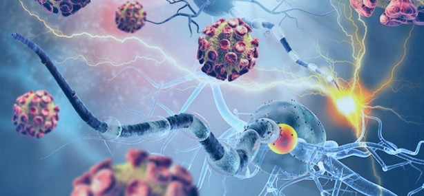 Foto - Sömürgeci İngilizlerin başlattıkları ‘avcı’lık bedel ödetiyor: ‘Avcı’lığa merak saranlar iki kere düşünsün... Hastane kapıları sayısız ‘avcı’ ile dolu