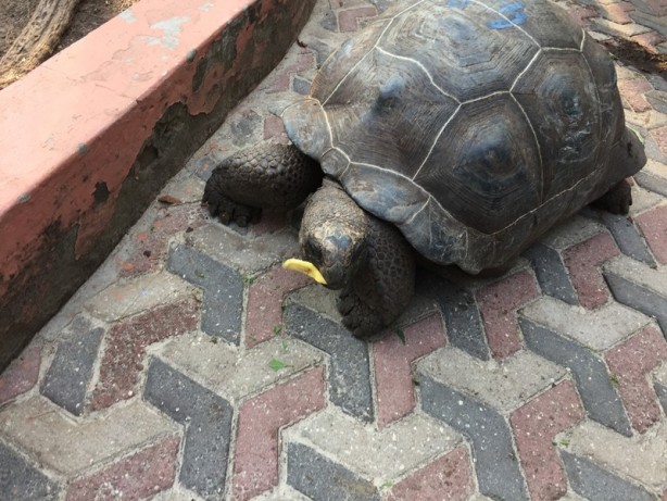 Foto - Sömürgecilerin paylaşamadığı cennet: Zanzibar - 4