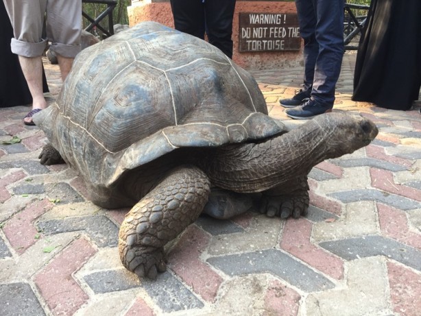 Foto - Sömürgecilerin paylaşamadığı cennet: Zanzibar - 4