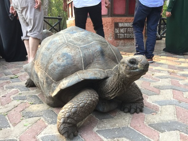 Foto - Sömürgecilerin paylaşamadığı cennet: Zanzibar - 4