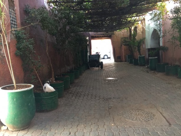 Foto - Sömürgecilerin paylaşamadığı cennet: Zanzibar - 5