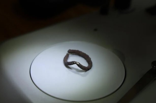 Foto - Son 10 günde üçüncü kez! Bir çocuk iskeleti daha bulundu