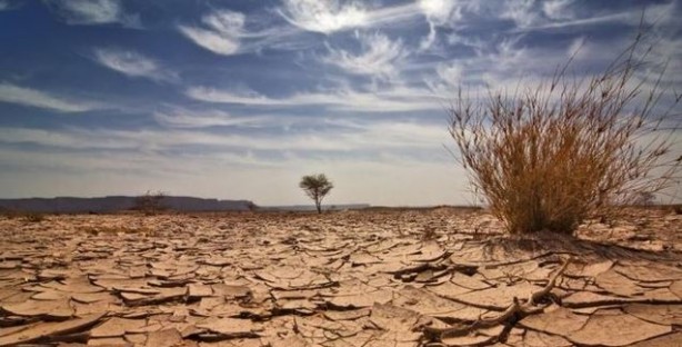 Foto - Son 120 bin yılın en sıcak günleri! Dünya nereye gidiyor?