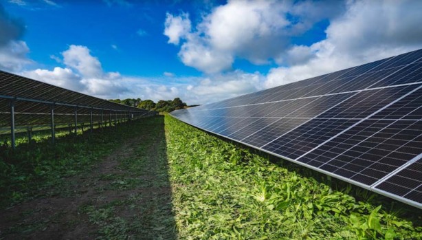 Foto - Son 20 yılda önemli adımlar atıldı! Tarımda yenilenebilir enerjiye 2.8 milyar lira hibe desteği!