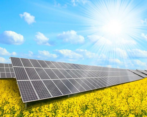 Foto - Son 20 yılda önemli adımlar atıldı! Tarımda yenilenebilir enerjiye 2.8 milyar lira hibe desteği!