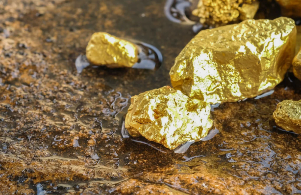 Foto - Son 34 yıldan bu yana en büyük altın rezervi bulundu! Her yerden altın fışkırıyor