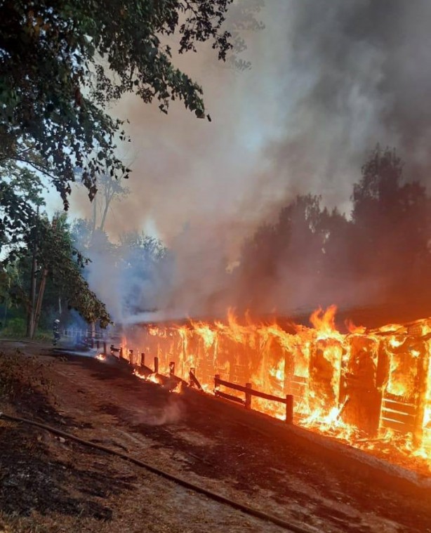 Foto - Son dakika koduyla duyurdular! "100 paralı asker öldürdük!"