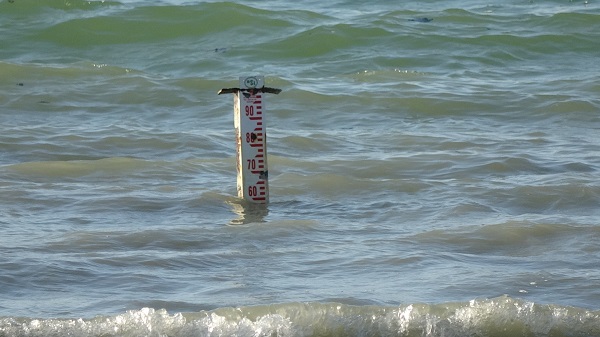 Foto - Son elli yılda üçte biri yok oldu! İşte Burdur Gölü'nün son hali