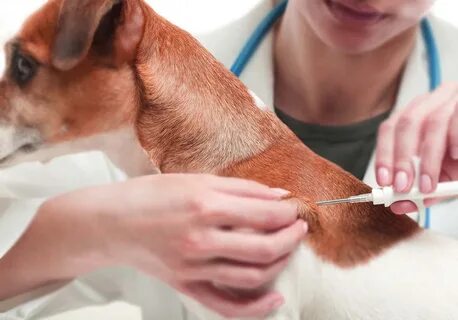 Foto - Son gün 31 Aralık… Bunu yapmayan 6 bin lira ceza yer