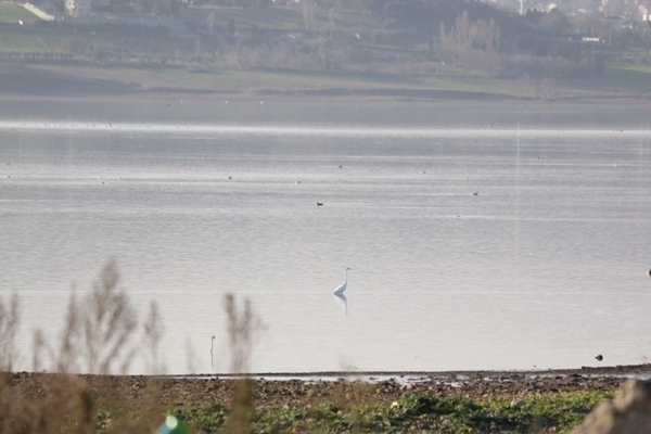 Foto - Son hali böyle görüntülendi... Korkutan manzara