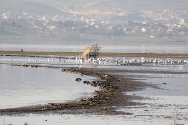 Foto - Son hali böyle görüntülendi... Korkutan manzara