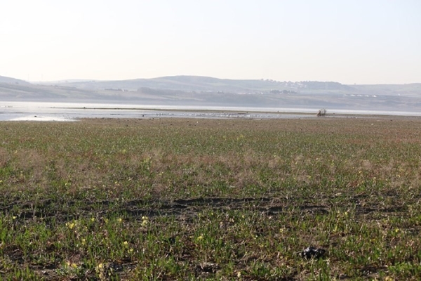 Foto - Son hali böyle görüntülendi... Korkutan manzara