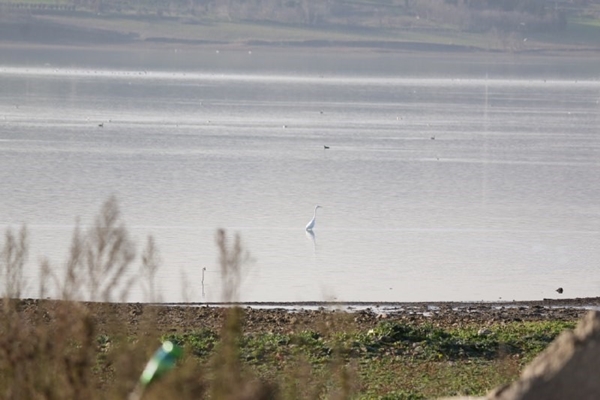Foto - Son hali böyle görüntülendi... Korkutan manzara