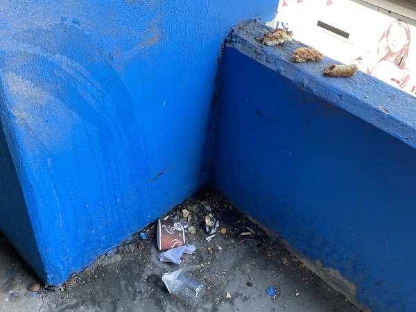 Foto - Son hali görüntülendi! İşte Ekrem’in ‘Yeniledik’ dediği otogar