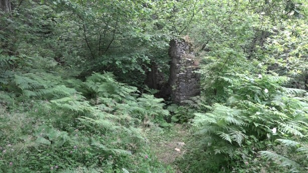 Son hali yürek burktu! Defineciler yine yaptı yapacağını