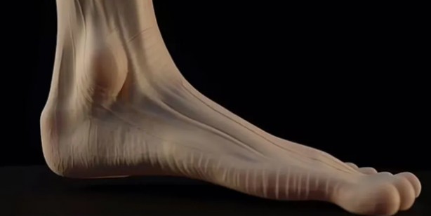 Foto - Son tahminler, ilginç iddia! Ayaklarımızın yüzyıllar sonra böyle görünecek: Yapay zeka destekli son gelişme ortaya çıktı 
