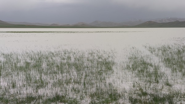 Foto - Son üç yıldır kurumuş haldeydi! O gölün son hali