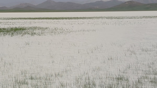 Foto - Son üç yıldır kurumuş haldeydi! O gölün son hali