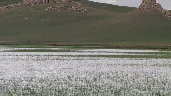 Foto - Son üç yıldır kurumuş haldeydi! O gölün son hali