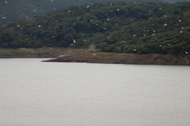 Foto - Son yağışlar sonrası İstanbul'da umutlandıran görüntü