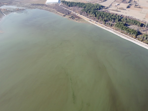 Foto - Son yağışlar yüzleri güldürdü! 