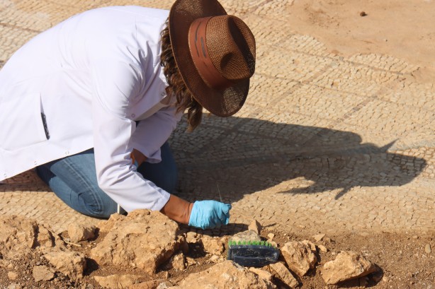 Foto - Son yıllarda böylesi olmamıştı! Komagene Krallığı'na ev sahipliği yapmıştı: O antik kentinde...