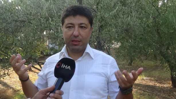 Foto - Son yıllarda böylesi olmamıştı! Zeytin ve zeytinyağı üretimine büyük darbe