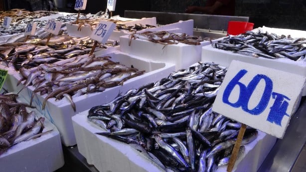 Foto - Son yıllarda hiç böyle olmamıştı! Denize açılan balıkçılar şaşkın