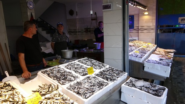 Foto - Son yıllarda hiç böyle olmamıştı! Denize açılan balıkçılar şaşkın