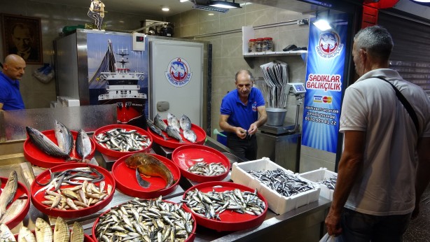 Son yıllarda hiç böyle olmamıştı! Denize açılan balıkçılar şaşkın