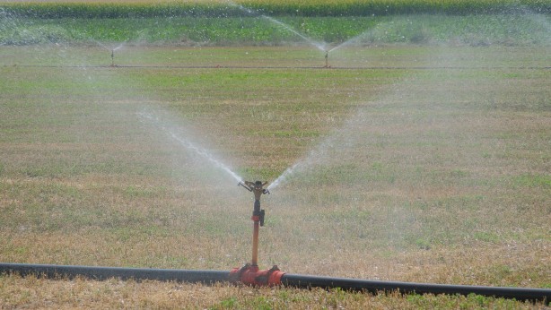 Foto - Son yıllarda sayısı orada artıyor, dev obruklar ortada kaldı: Flaş gelişme! Prof. Dr. Fetullah Arık az önce tüm Türkiye'ye duyurdu