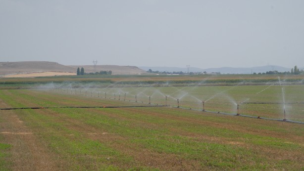 Foto - Son yıllarda sayısı orada artıyor, dev obruklar ortada kaldı: Flaş gelişme! Prof. Dr. Fetullah Arık az önce tüm Türkiye'ye duyurdu
