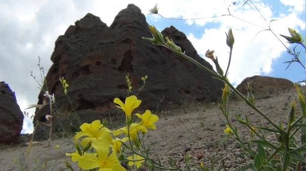 Foto - Son zamanlarda ilgi çekmeye başladı! İşte Türkiye'nin saklı peri bacaları