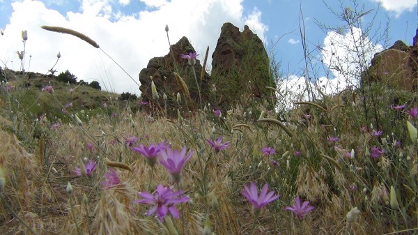 Foto - Son zamanlarda ilgi çekmeye başladı! İşte Türkiye'nin saklı peri bacaları